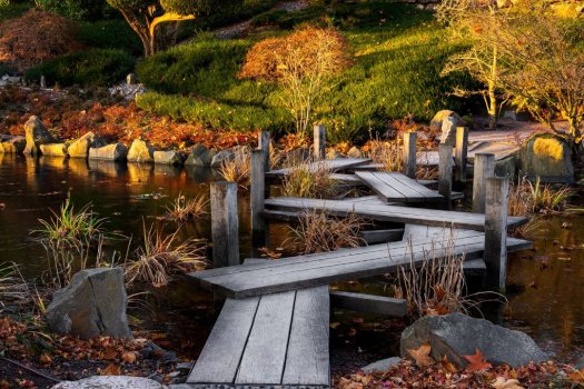 Im Japanischenn Garten